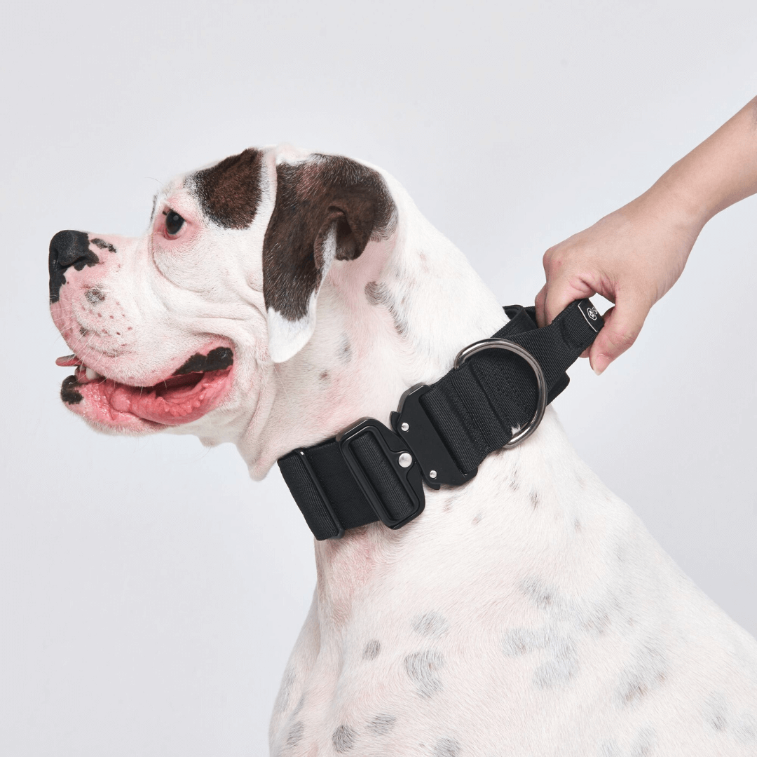 Spark Paws - Tactical Dog Collar - Black - 2" Medium