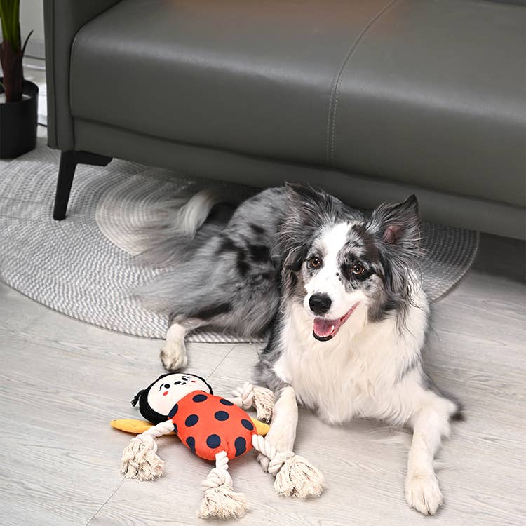 HugSmart Pet - Dog Toy - Puppy Garden - Ladybug