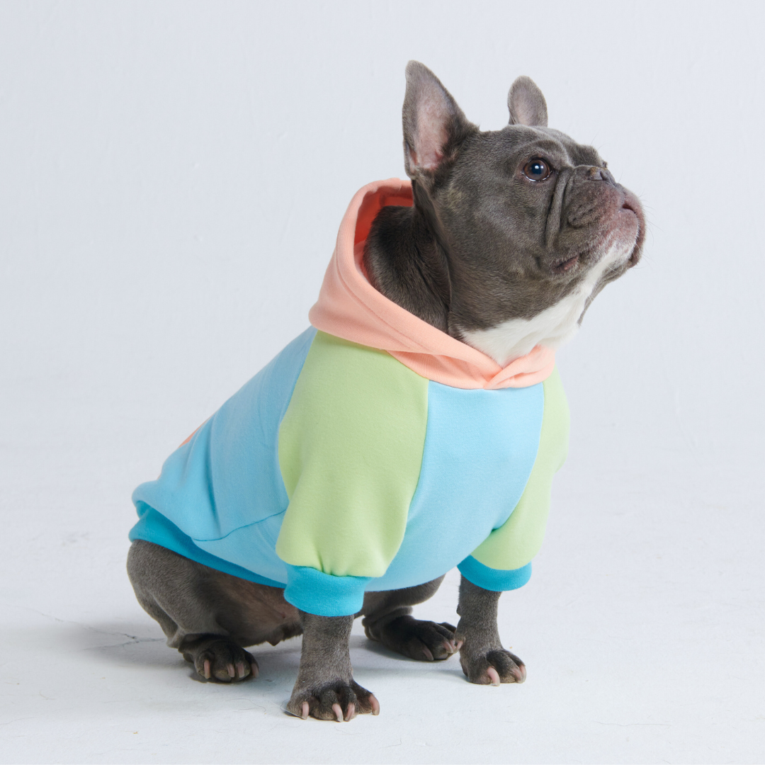 Spark Paws - Dog Hoodie - Jelly Bean - XL