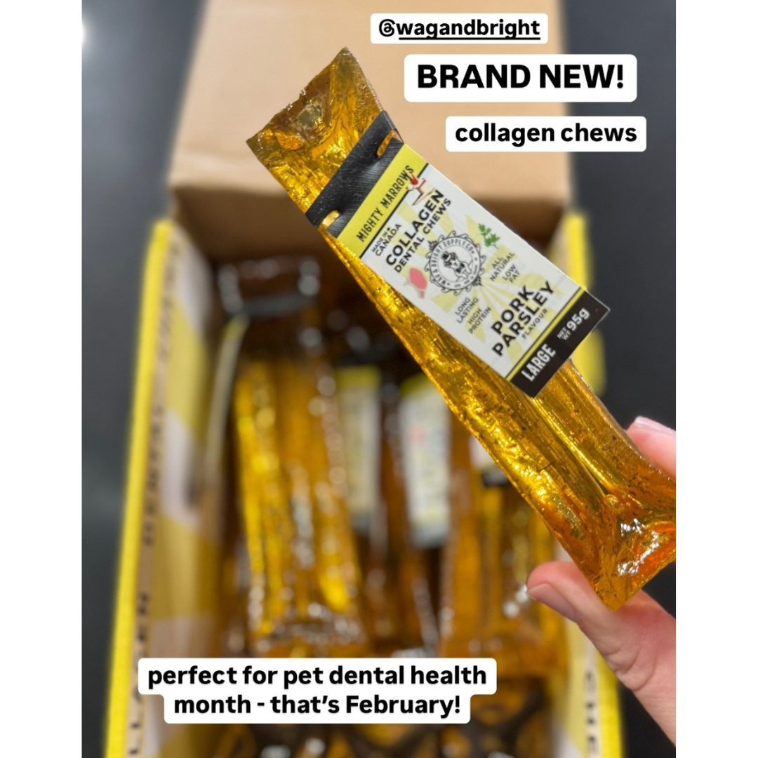 Wag & Bright - Collagen Dental Chew - Mighty Marrows - Bacon -  Large