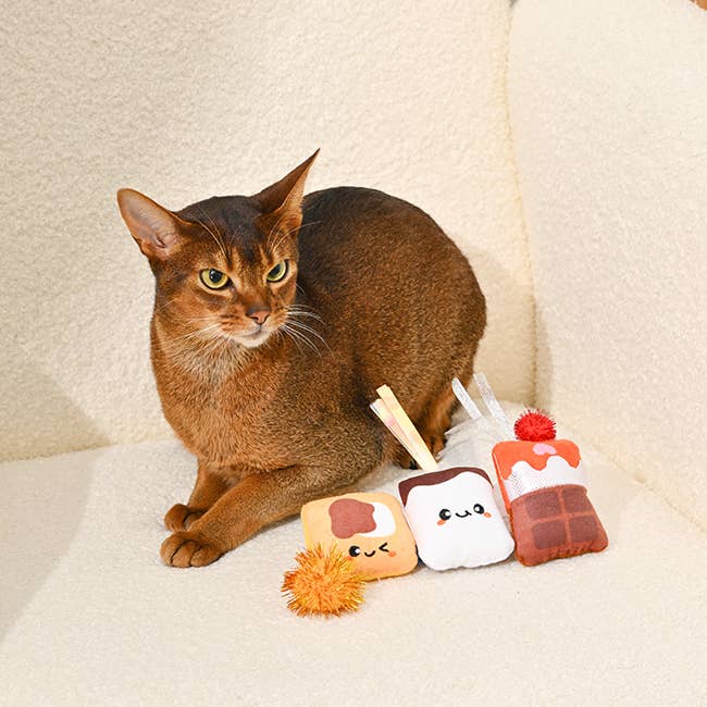 HugSmart Pet - Cat Toy - Camping Claws - Cat S'mores