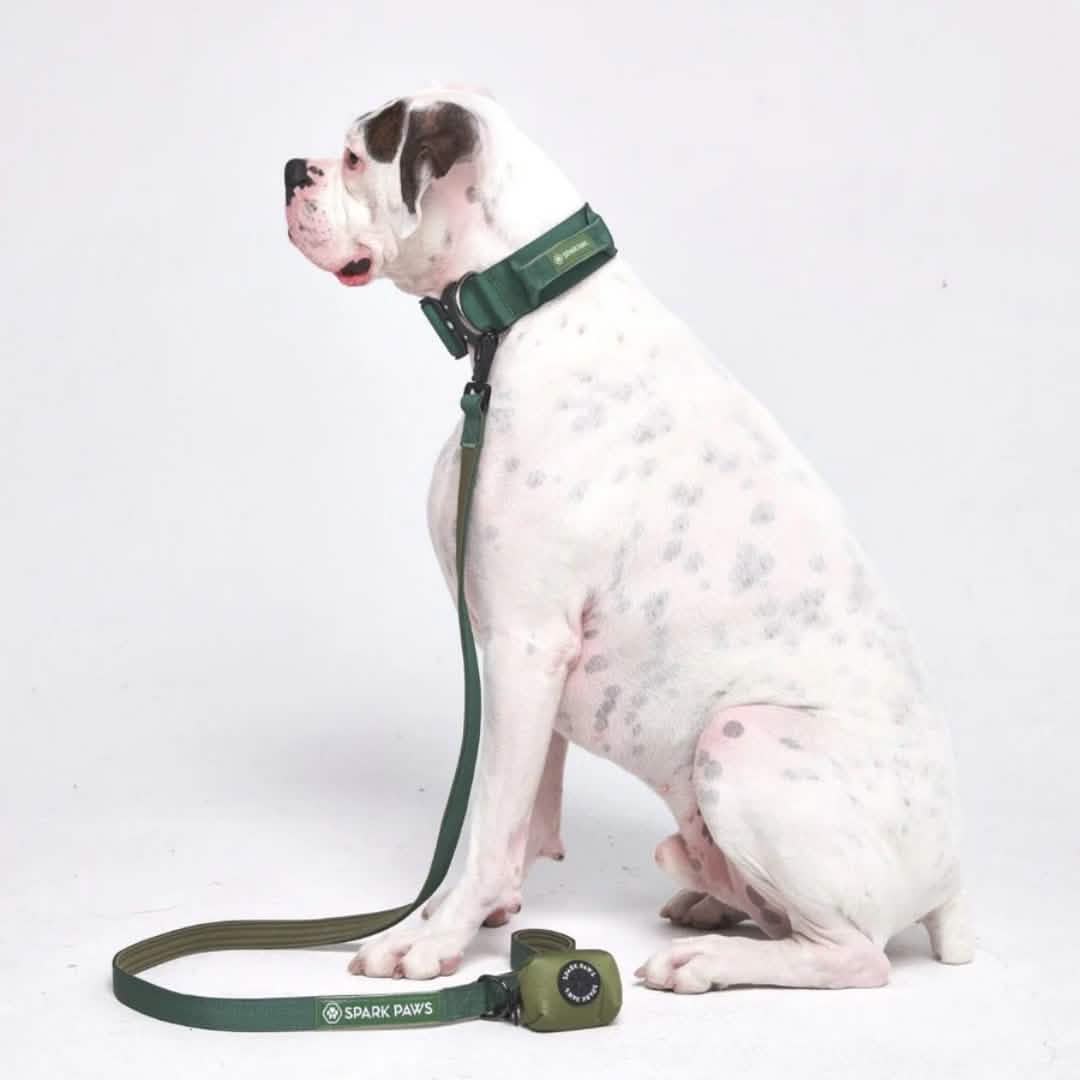 Leash and Poop Bag Holder Set - Army Green: OS