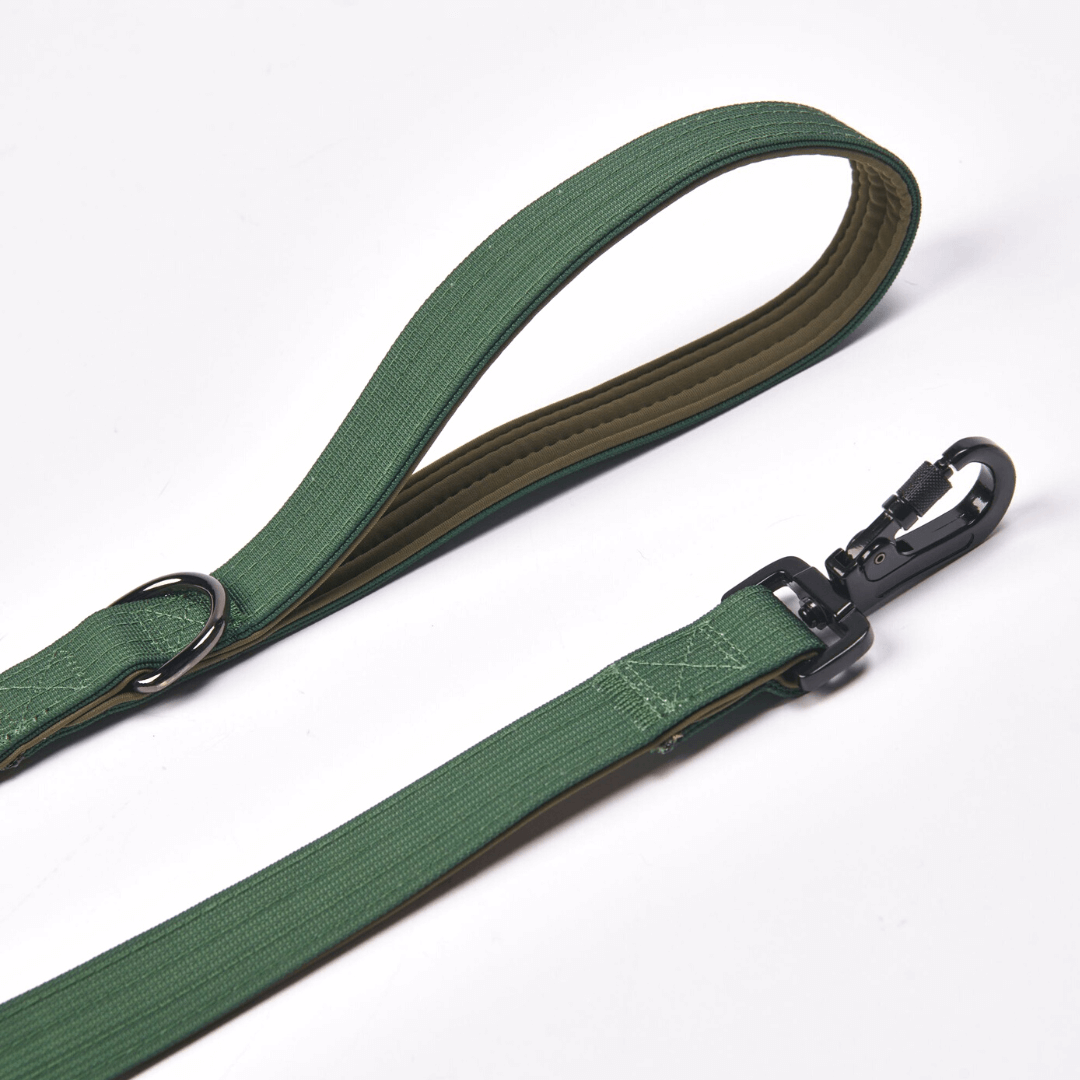 Leash and Poop Bag Holder Set - Army Green: OS