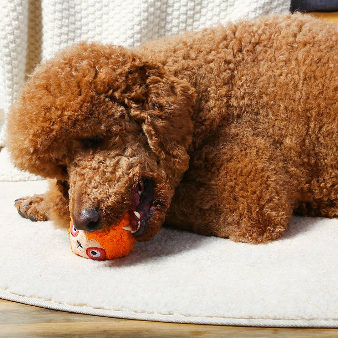 HugSmart Pet - Dog Toy - Zoo Ball - Sloth
