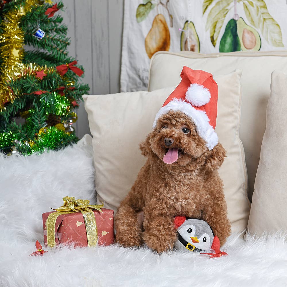 HugSmart Pet - Happy Woofmas | Penguin - Dog Ball Toy