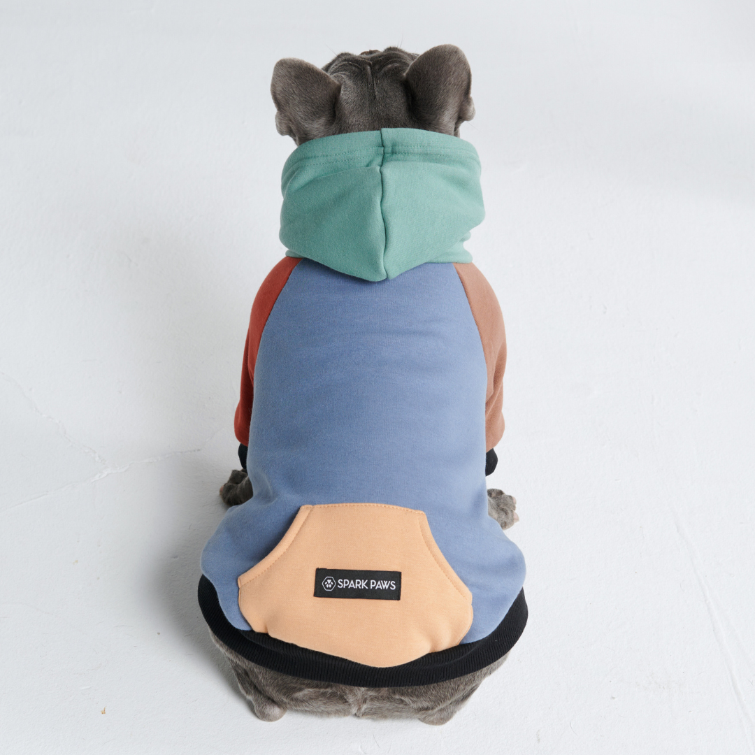 Spark Paws - Dog Hoodie - Alpine -  L