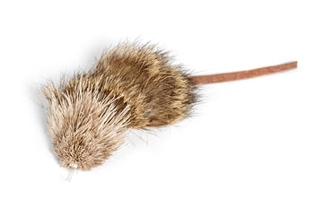 Rompicatz - Cat toy add on - Flexi Wild Mouse