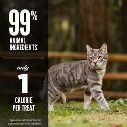 Orijen - Cat Treats - Six Fish Recipe - 35g
