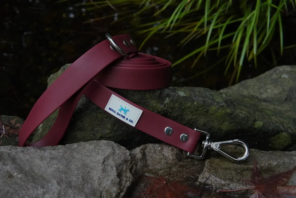 Nova Dayne - Dog Leash - Waterproof - Bordeaux - 6ft