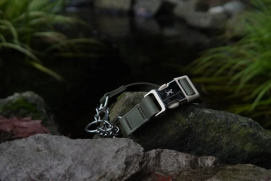 Nova Dayne - Martingale Collar - Waterproof - Hunter - Large