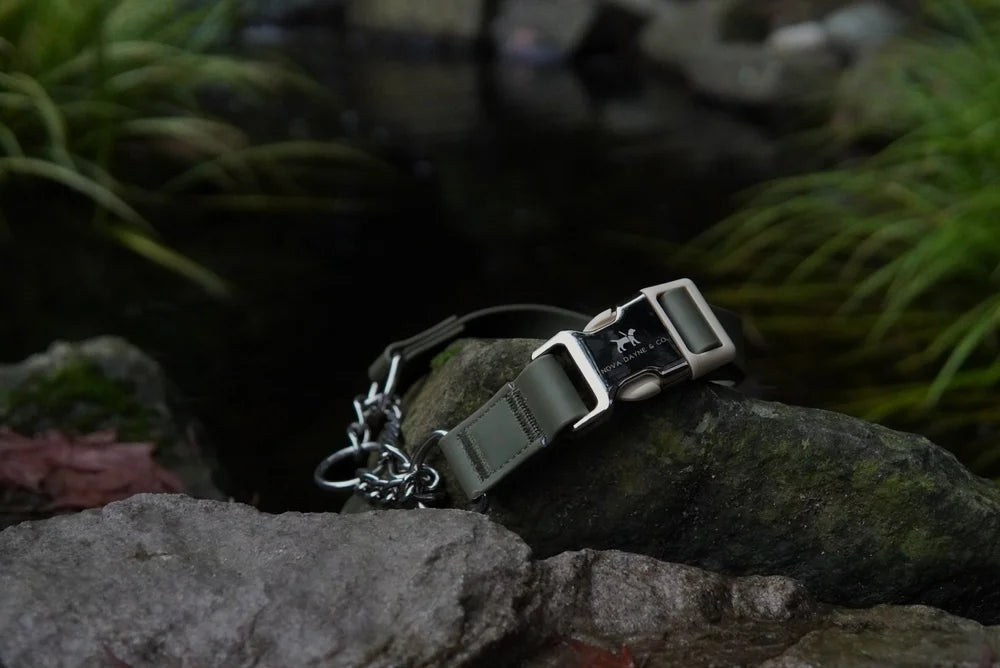 Nova Dayne - Martingale Collar - Waterproof - Hunter - Medium