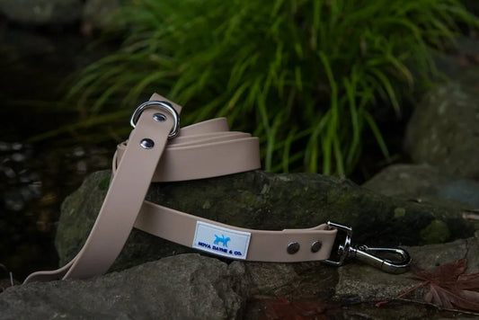 Nova Dayne - Dog Leash - Waterproof - Champagne - 6ft
