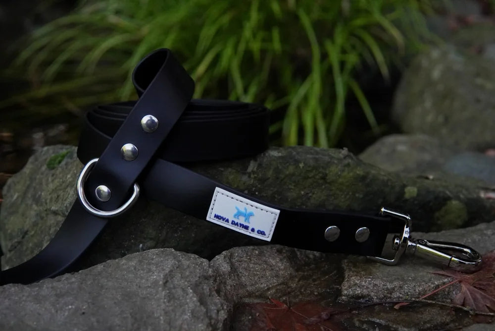 Nova Dayne - Dog Leash - Waterproof - Nightcap - 6ft