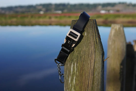 Nova Dayne - Martingale Collar - Waterproof - Nightcap - Medium