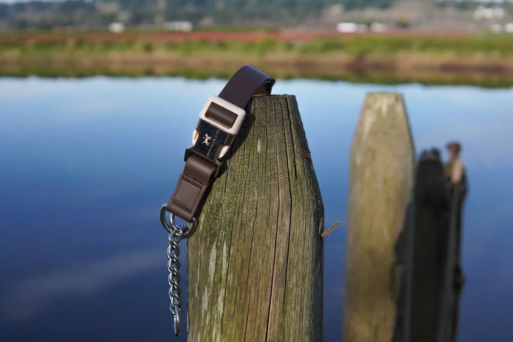 Nova Dayne - Waterproof Martingale Collar - Macchiato - Medium