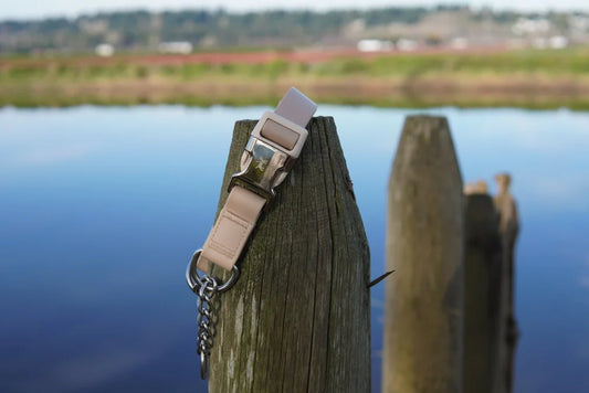 Nova Dayne - Martingale Collar - Waterproof - Champagne - Medium