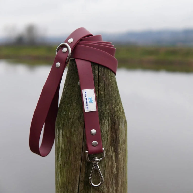 Nova Dayne - Dog Leash - Waterproof - Bordeaux - 6ft