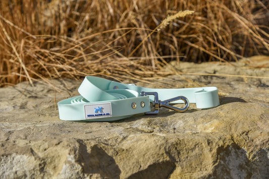 Nova Dayne & Co - Waterproof Leash - Mint - 6ft