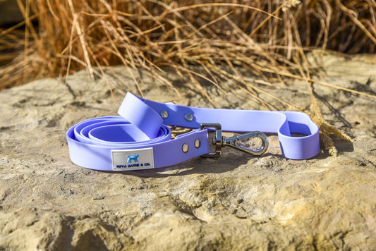 Nova Dayne & Co - Waterproof Leash - Plum - 6ft