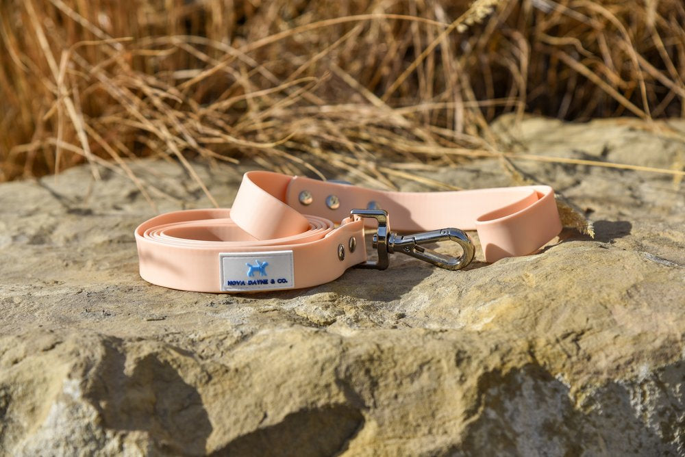 Nova Dayne & Co - Waterproof Leash - Peach - 6ft