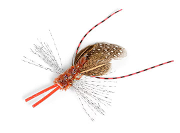 Rompicatz - Cat toy add on - Crickett