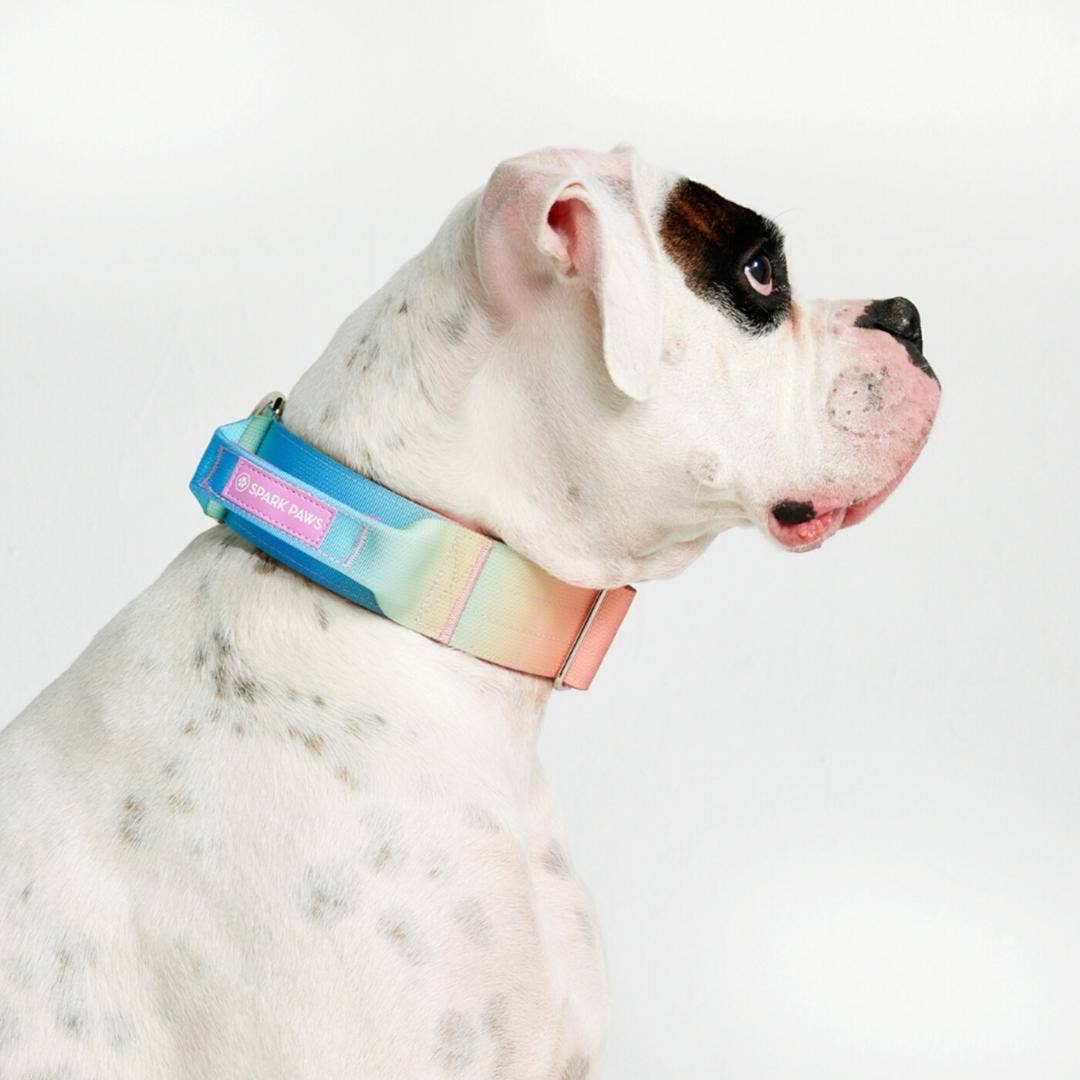 Spark Paws - Tactical Dog Collar - Pastel Icing - 2" Large