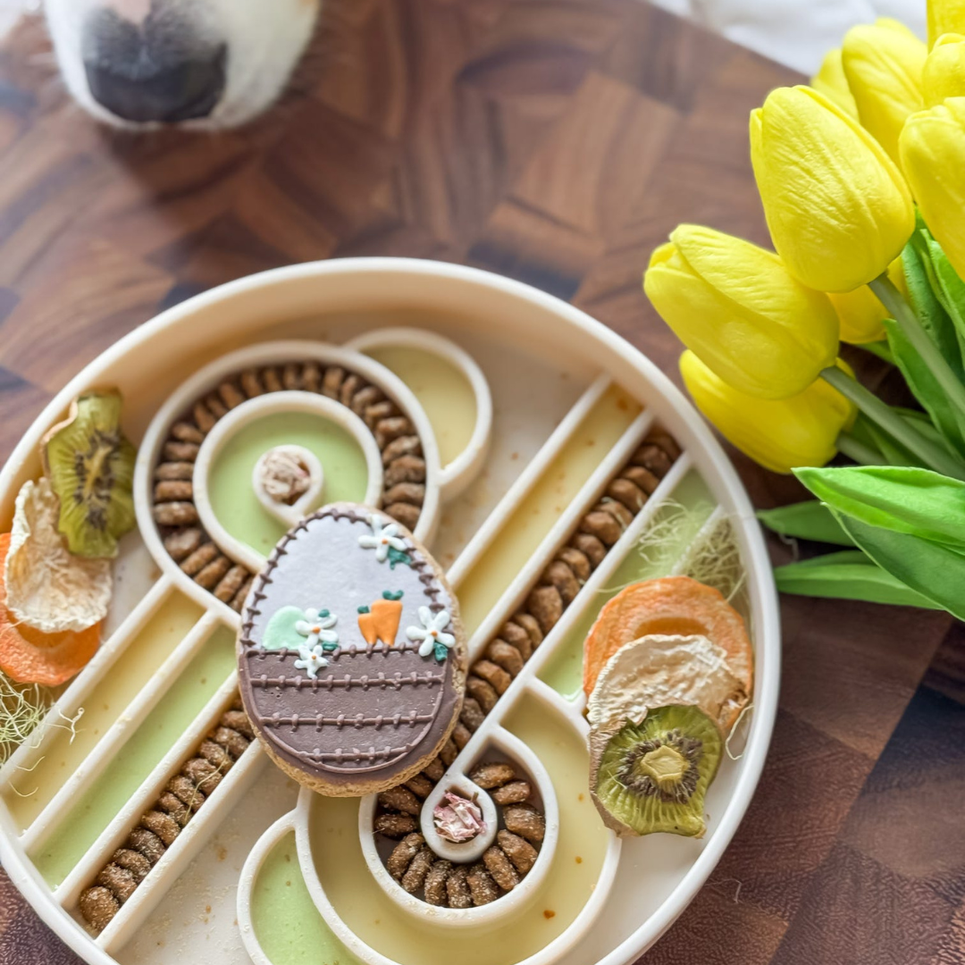 Ollie B Good - Zoomies Slow Feed Bowl - Oatmeal