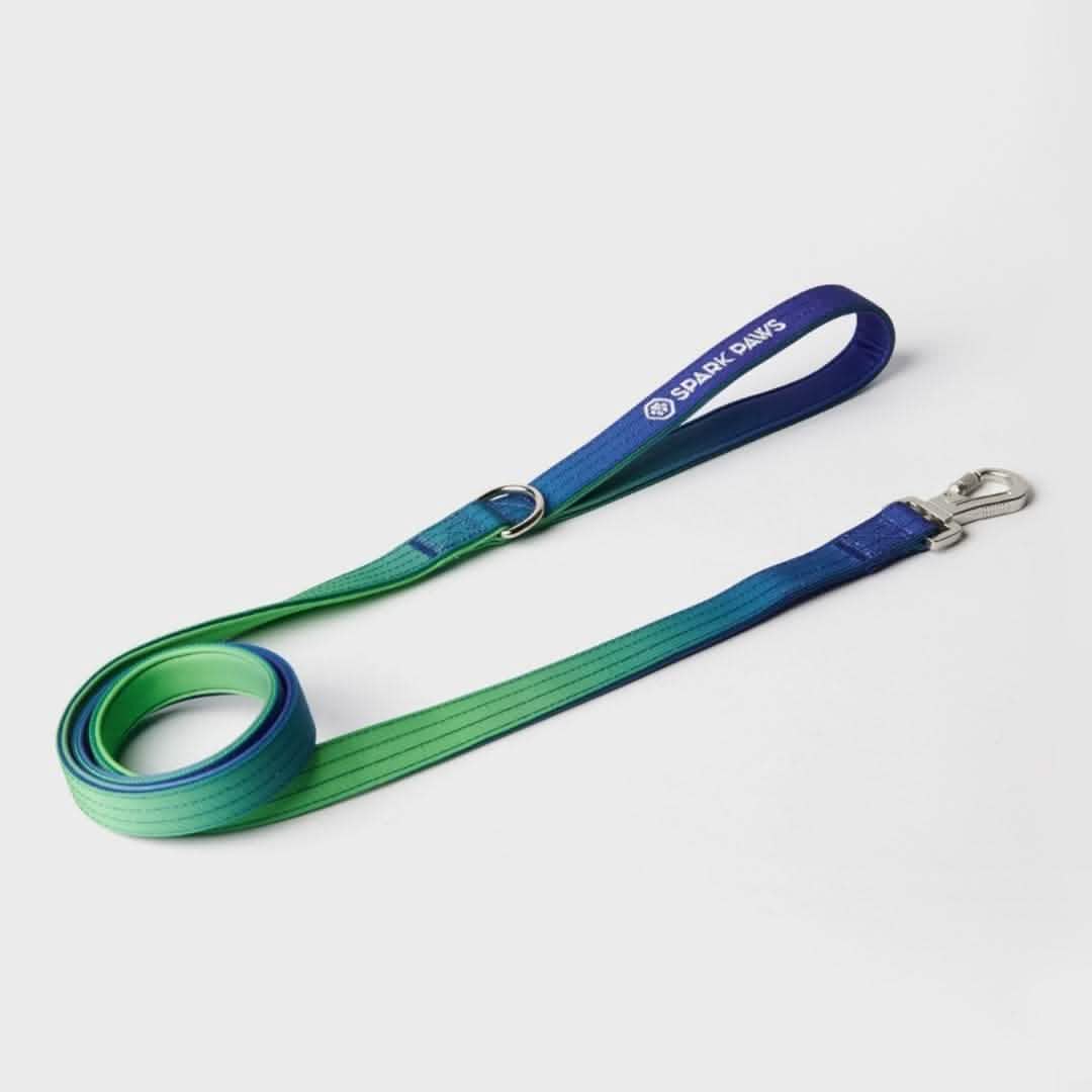 Leash and Poop Bag Holder Set - Lime Wave: OS