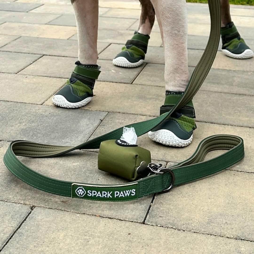 Leash and Poop Bag Holder Set - Army Green: OS