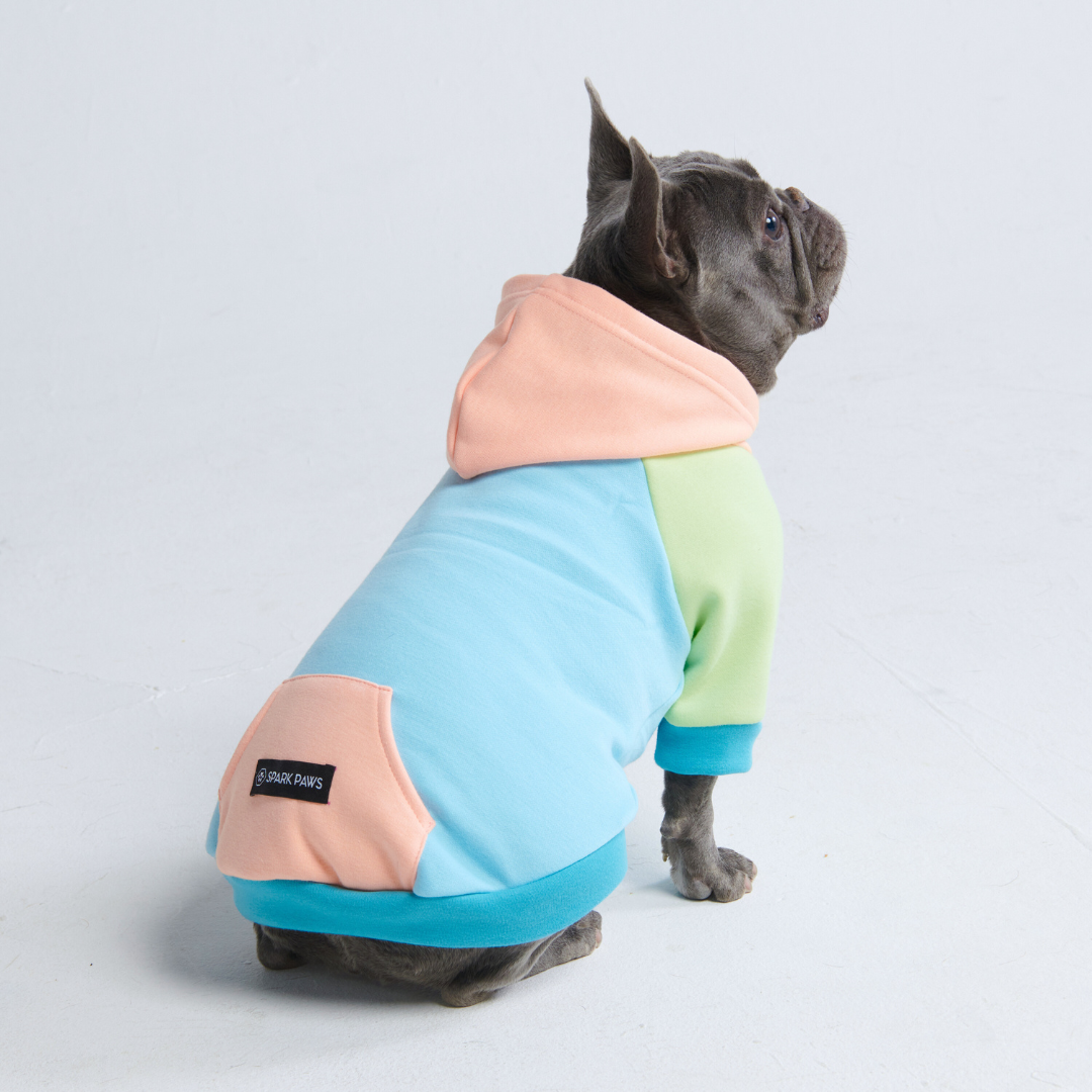 Spark Paws - Dog Hoodie - Jelly Bean - XL