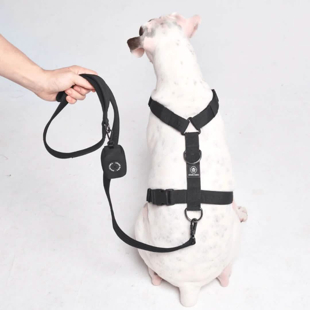 Leash and Poop Bag Holder Set - Black: OS