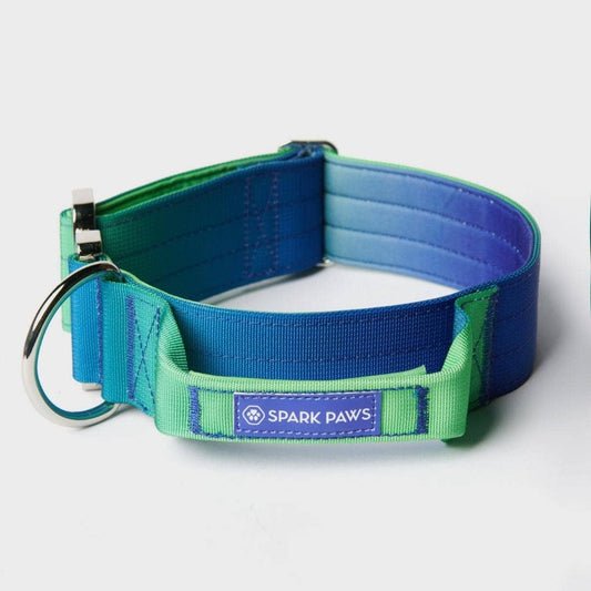 Spark Paws - Tactical Dog Collar - Lime Wave - 2" Large