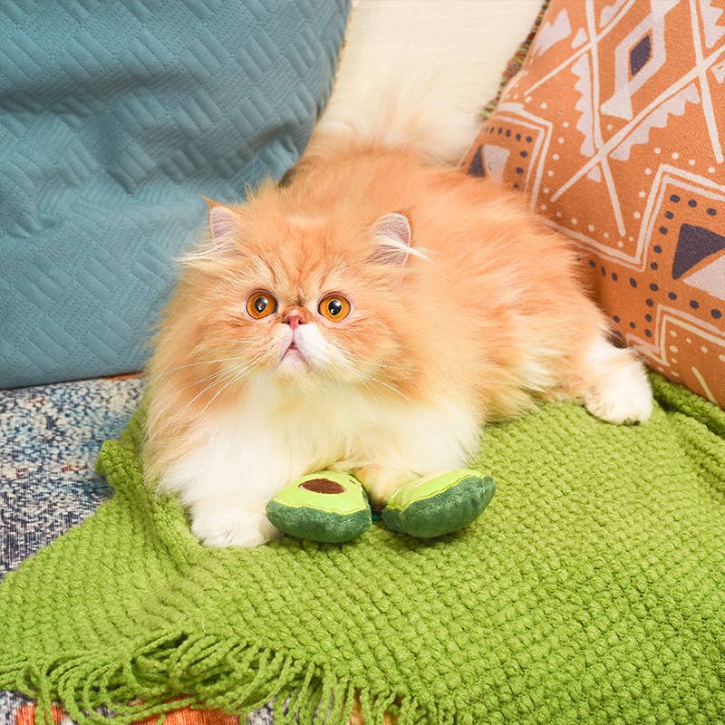 HugSmart Pet - Cat Toy - Crazy Catcher - Avocado Pack