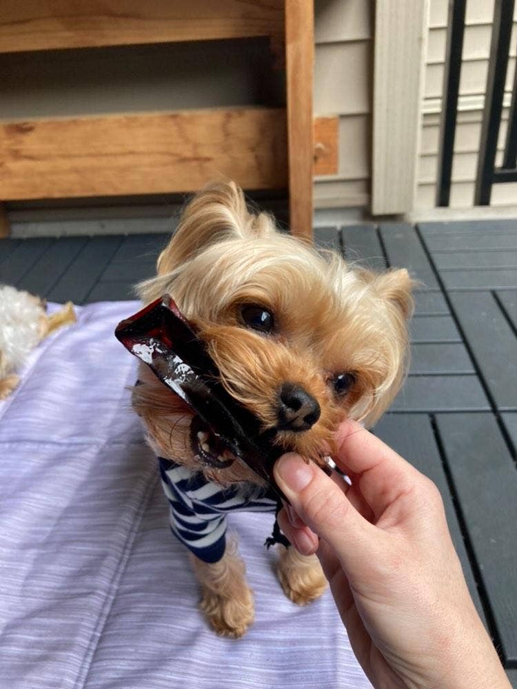 Wag & Bright - Collagen Dental Chew - Mighty Marrows - Pork Parsley - Large