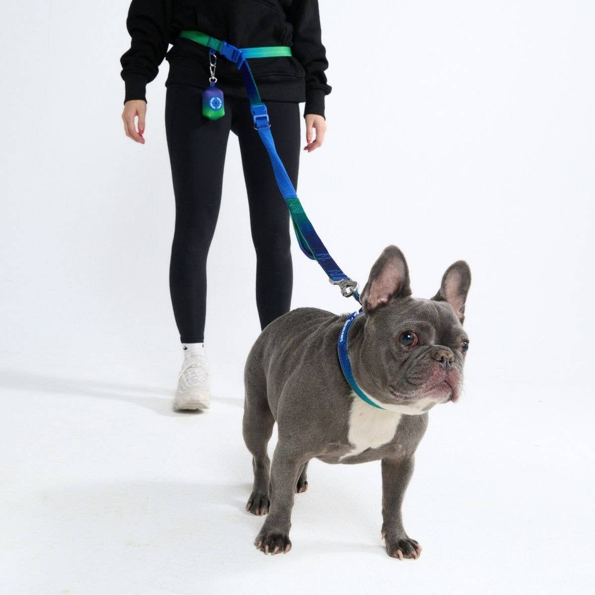 Multipurpose Seatbelt Handsfree Leash & Poop Bag Holder Set - Lime Wave: OS