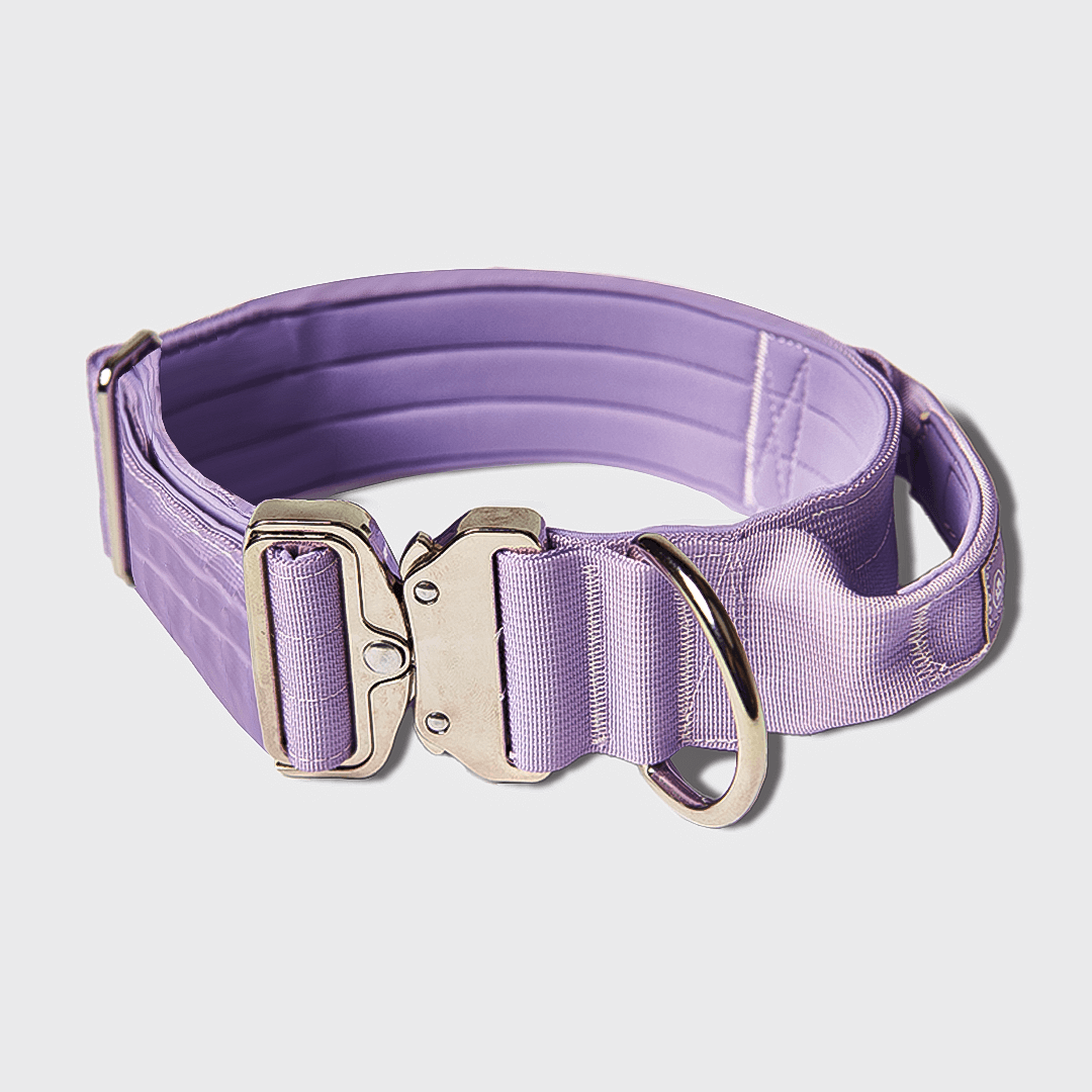 Spark Paws - Tactical Dog Collar - Lilac - 2" Medium