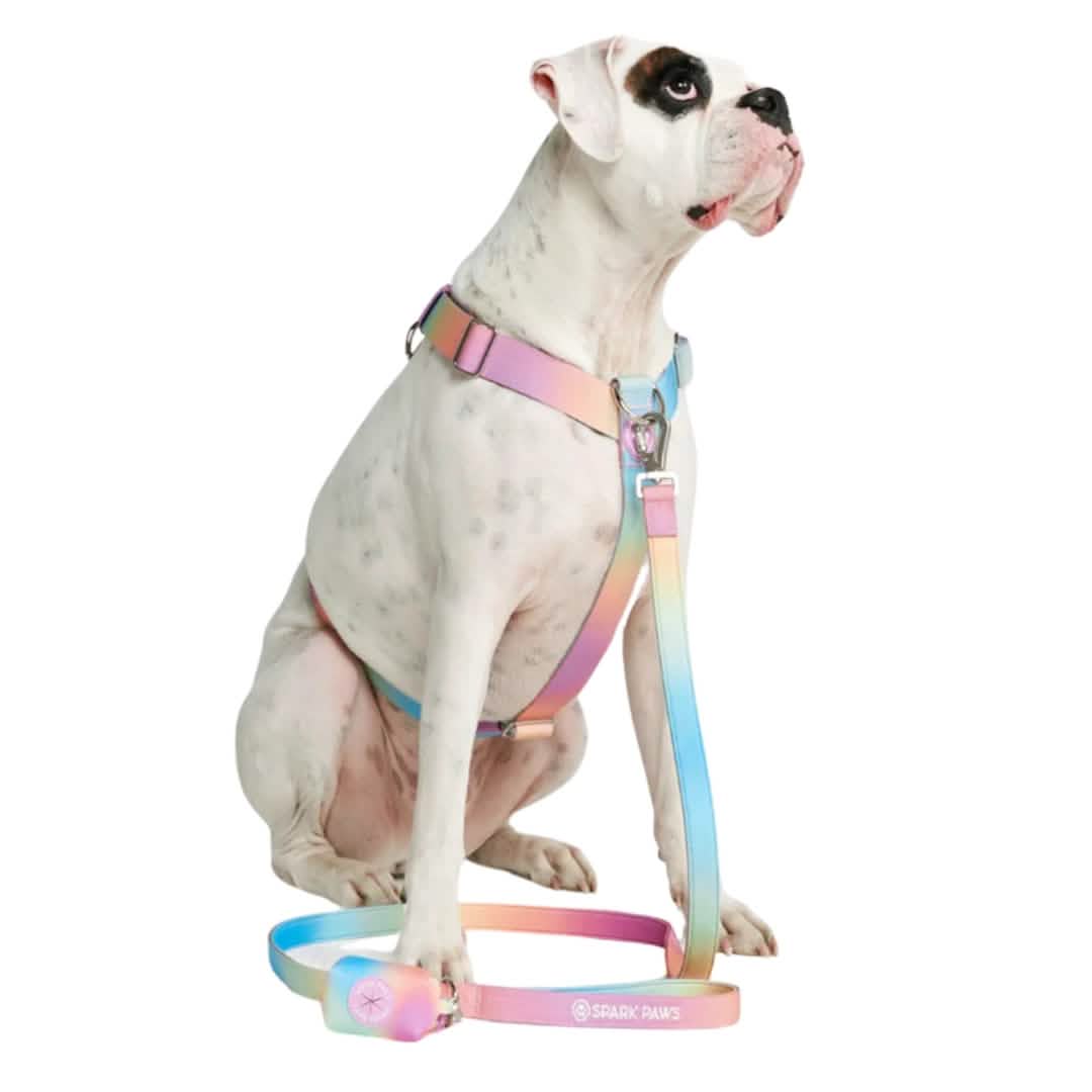 Leash and Poop Bag Holder Set - Pastel Icing: OS