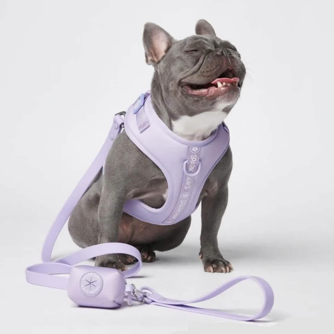 Leash and Poop Bag Holder Set - Lilac: OS