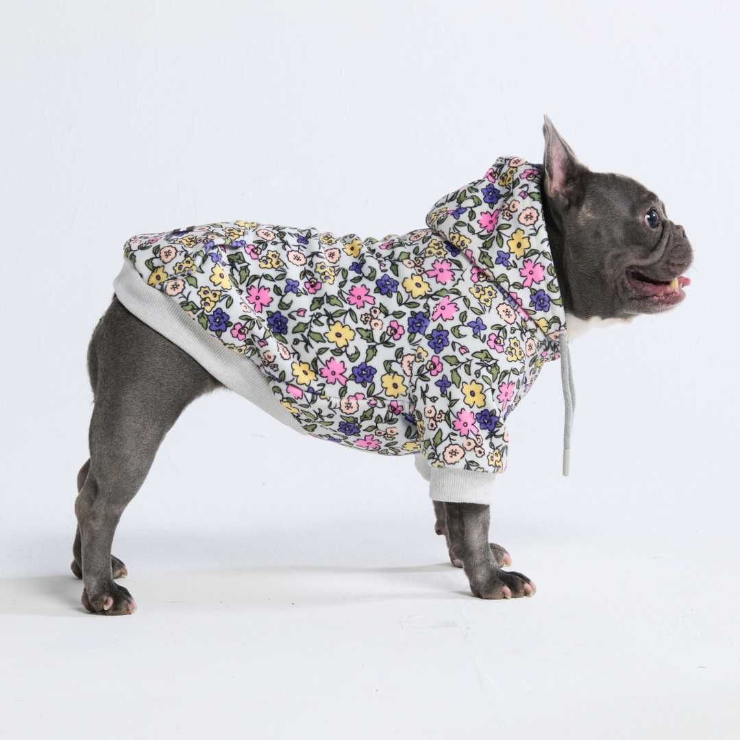 Spark Paws - Dog Hoodie - Vintage Flower - S