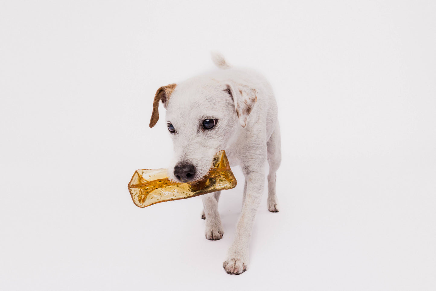 Wag & Bright - Collagen Dental Chew - Mighty Marrows - Bacon -  Large