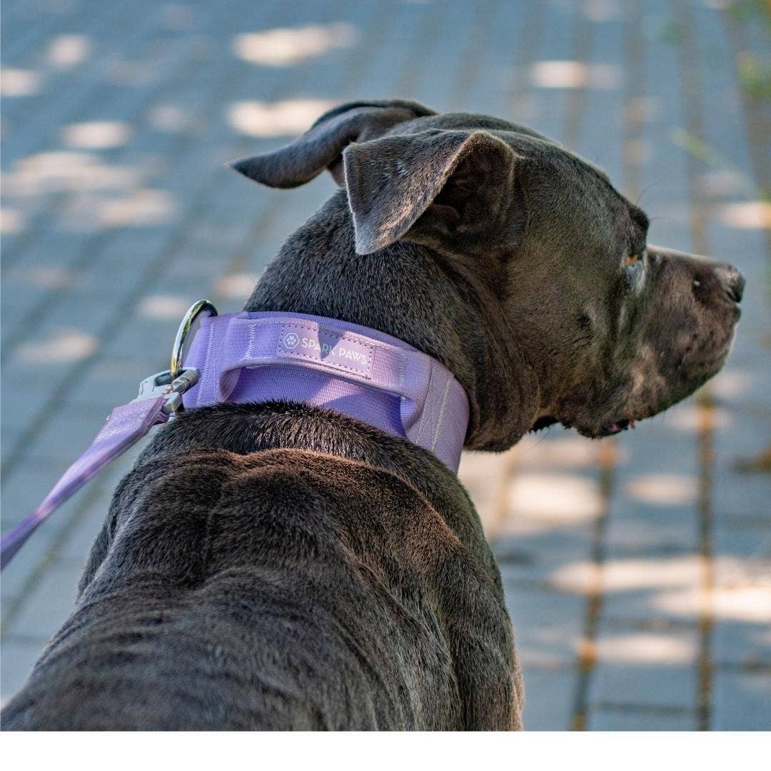 Spark Paws - Tactical Dog Collar - Lilac - 2" Medium