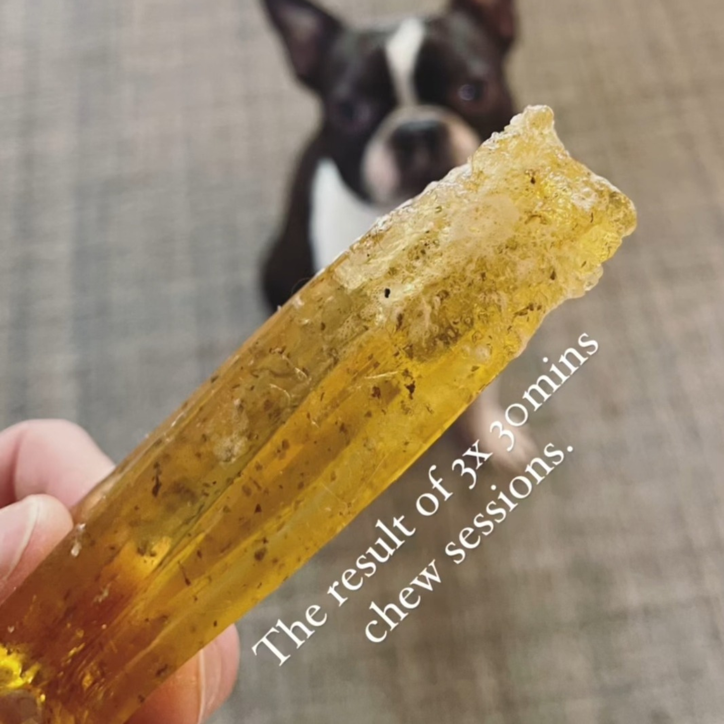 Wag & Bright - Collagen Dental Chew - Mighty Marrows - Pork Parsley - Large