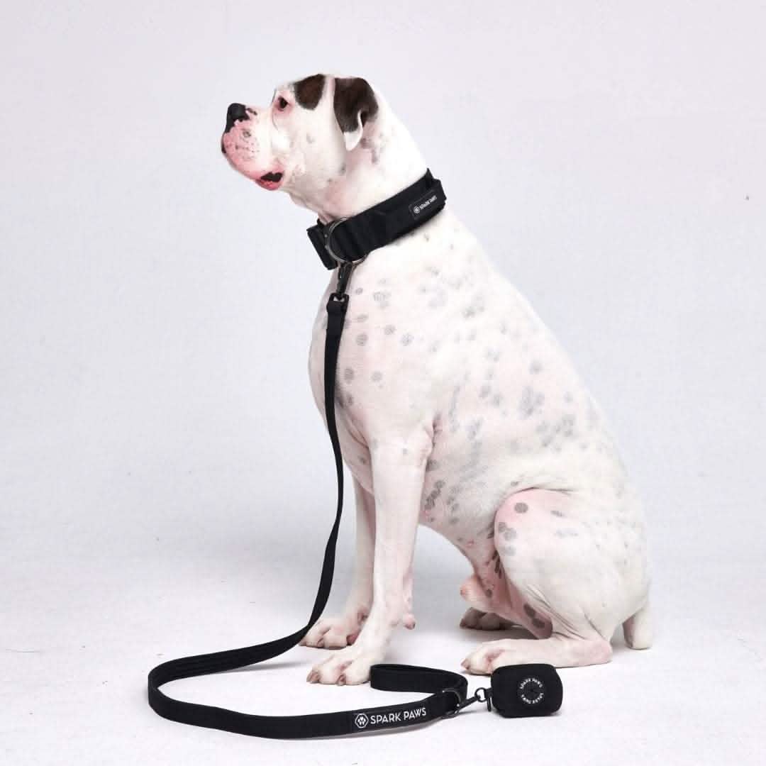 Leash and Poop Bag Holder Set - Black: OS