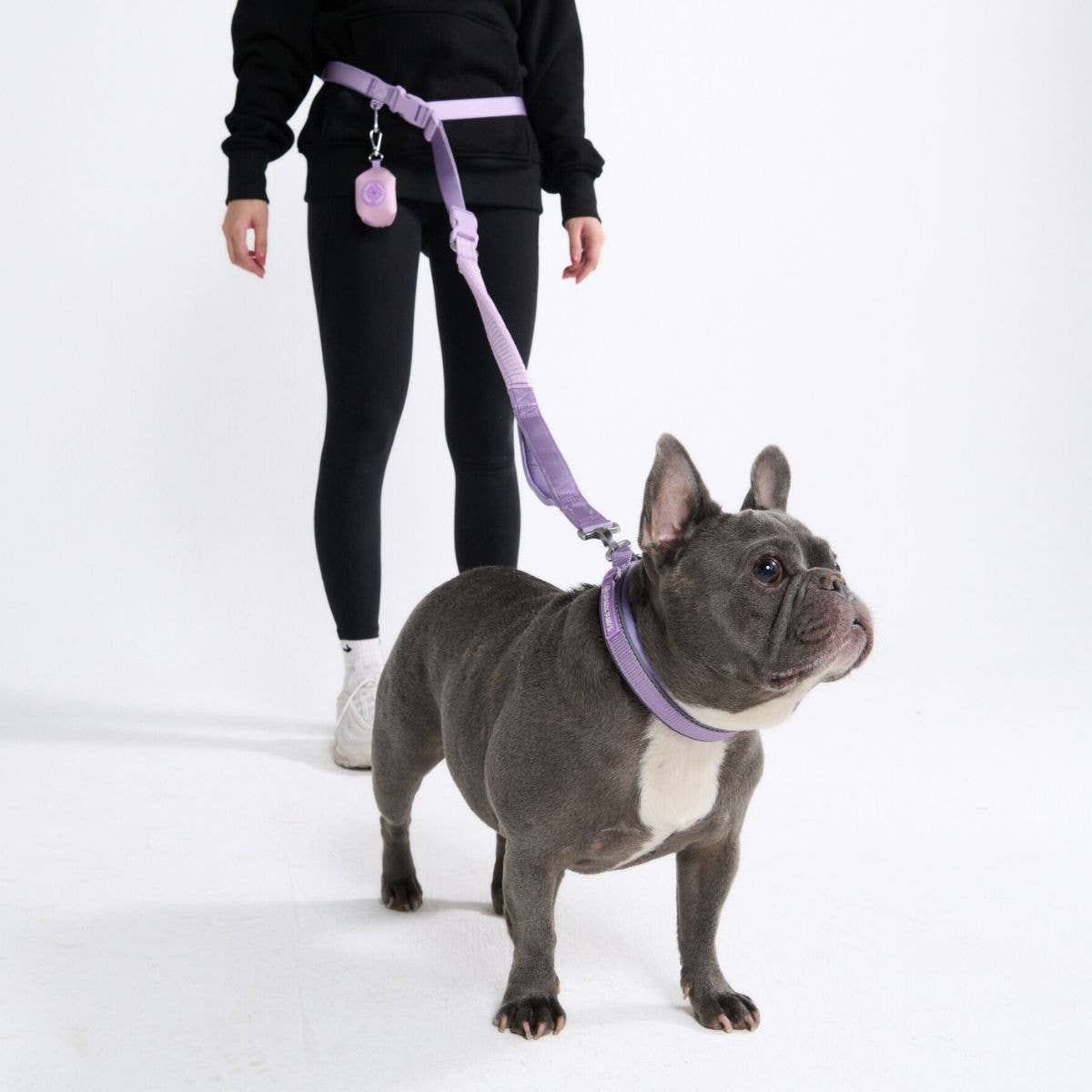 Multipurpose Seatbelt Handsfree Leash & Poop Bag Holder Set - Lilac: OS