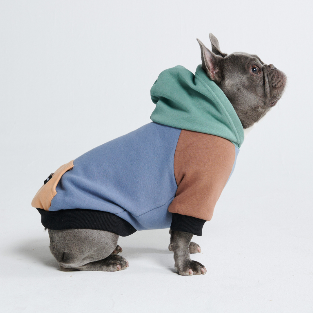 Spark Paws - Dog Hoodie - Alpine -  M