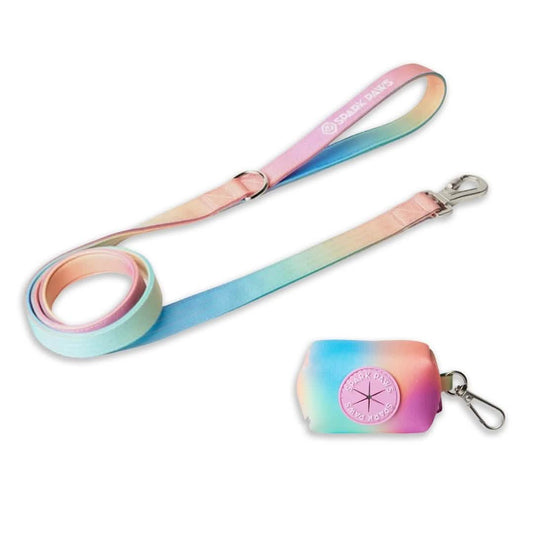 Leash and Poop Bag Holder Set - Pastel Icing: OS