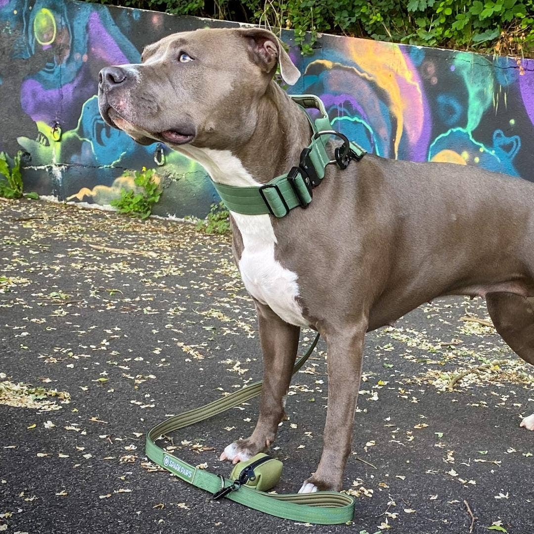 Spark Paws - Tactical Dog Collar - Army Green - 2" Medium