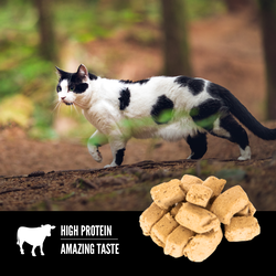 Orijen - Cat Treats - Regional Red Recipe - 35g